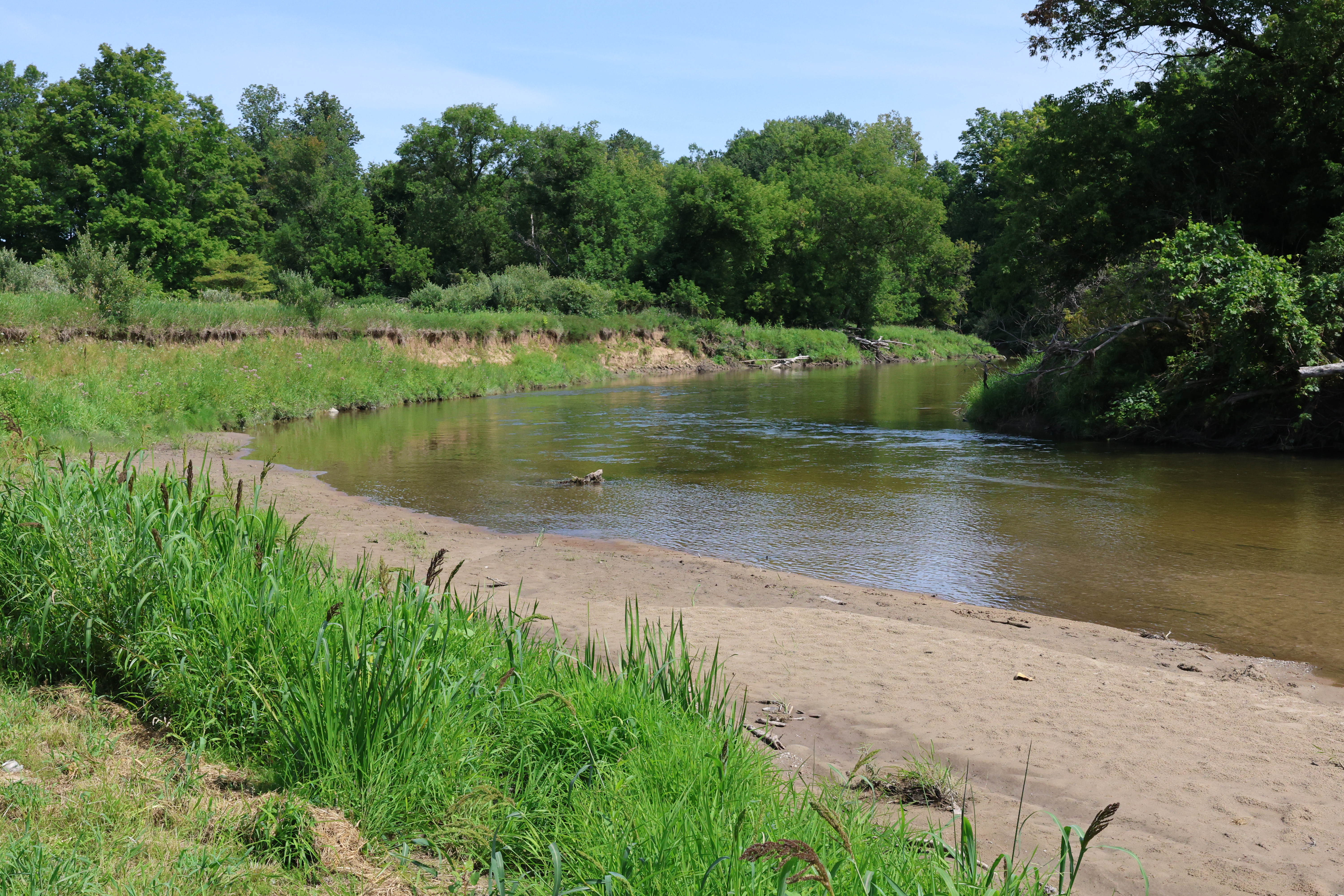 Rifle River Site